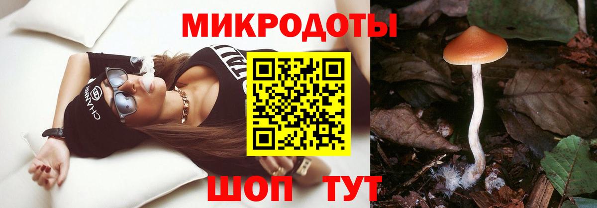 Строитель  Галлюциногенные грибы Psilocybe  Вход с VPN 